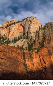 Morning In Zion NP, Utah USA, At Zion Lodge