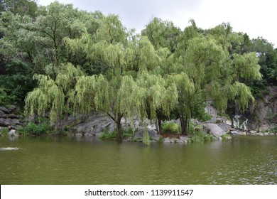 Morningside Park Pond And Waterfall