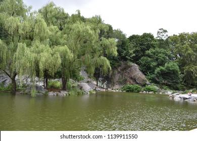 Morningside Park Pond And Waterfall