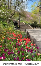 Morningside Park In The Spring