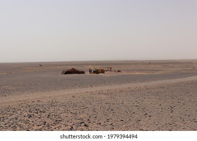 Moroccan Local Nomadic Bedouin Family Live At Sand Dunes In Traditional Nomad Tent Camp Like Native Berber Tribe Culture Tradition In Hot African Sahara Desert Near Oriental Merzouga, Morocco, Africa.