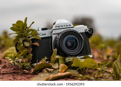 Morocco, Casablanca - January 30, 2021 : An Old Film Camera PENTAX K1000 Is Displayed Inside A Green Grass In Nature.