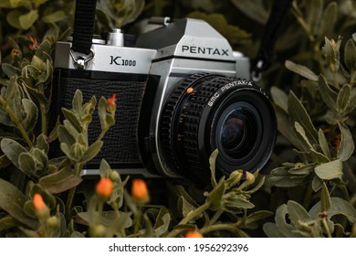 Morocco, Casablanca - January 30, 2021 : An Old Film Camera PENTAX K1000 Is Displayed Inside A Green Grass In Nature.