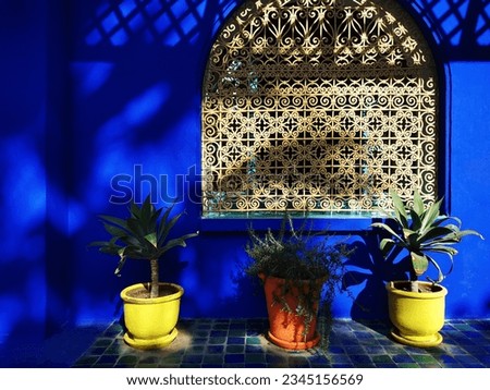 Morocco, colorful Jardin Majorelle in Marrakesh