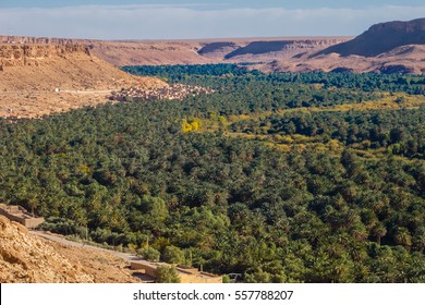 Morocco Erfoud Tafilalet Oasis