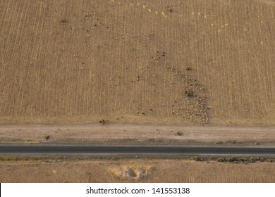 Morocco Road In The Desert Near Marrakech Aerial View