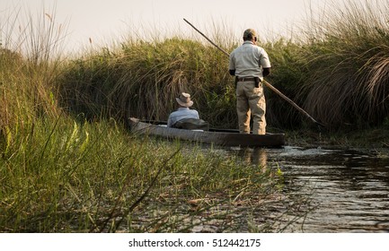 Moroko At Okavango Delta