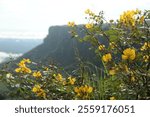 Morro do Gritador in Pedro II, Piauí