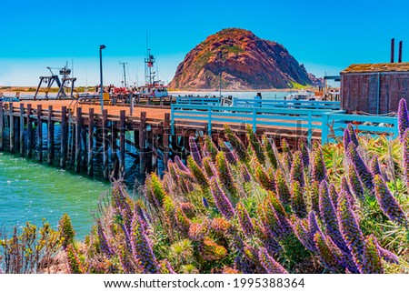 Morro Rock juts up out of the Morro Bay in San Luis Obispo County in California. A wharf and flowers add even more drama.