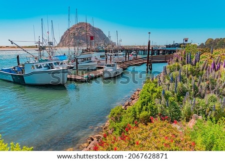 Morro Rock sits in the Morro Bay Harbor with fishing boats and a wharf next to it. Spring flowers line the shoreline of Morro Bay, California and the coastal fog lifts around the rock.
