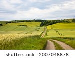 Mors, Denmark Agricultural landscape of the Mors island in central Denmark.