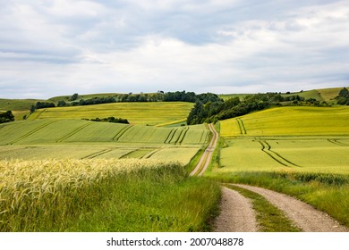 Mors, Denmark Agricultural Landscape Of The Mors Island In Central Denmark.