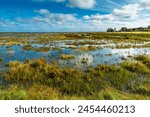 Morston salt Marshes seen from the Blakeney to Morston coastal path, Norfolk, England, United Kingdom, Europe