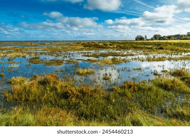 Morston salt Marshes seen from the Blakeney to Morston coastal path, Norfolk, England, United Kingdom, Europe - Powered by Shutterstock