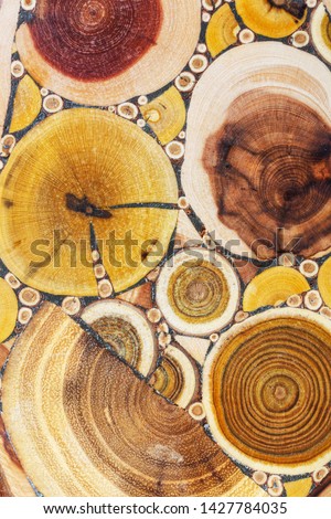 Mosaic of different types of trees. Decorative wooden board with a heartwood.
