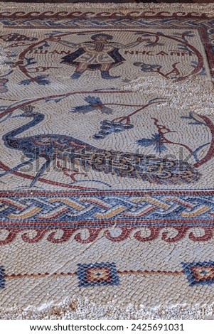Mosaic floor of the Diaconico Baptistery : Mount Nebo, Jordan