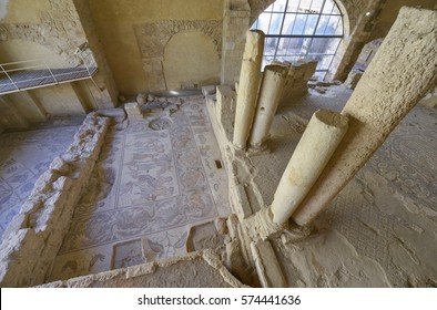 Mosaic In Madaba, Jordan