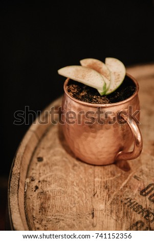Moscow Mule cocktail garnished with apples and cinnamon on rustic background