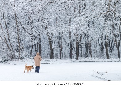 Moscow, Russia - 11 January, 2020: A Woman Walking With A Brown Dog Along A Walkway In A Public Park During A Heavy Snowy Day