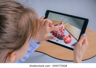 MOSCOW, RUSSIA - AUGUST 1, 2019. Woman using tablet with augmented reality app - 3d anatomical model of human heart. Future, AR, medical, anatomy, technology, healthcare, cardiology concept
