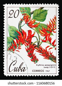 MOSCOW, RUSSIA - AUGUST 18, 2018: A stamp printed in Cuba shows Erythrina poeppigiana, Botanical Gardens in Cuba serie, circa 1967