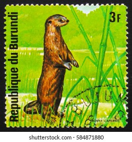 MOSCOW, RUSSIA - FEBRUARY 19, 2017: A Stamp Printed By Burundi Shows  African Clawless Otter (Aonyx Capensis), Series Animals Burundi, Circa 1975