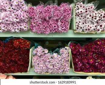 Flower Wholesale Images Stock Photos Vectors Shutterstock