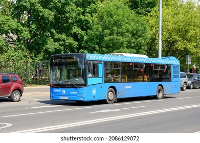 Moscow, Russia - July 11, 2021: Low Floor City Bus MAZ-203.069 On Green Avenue