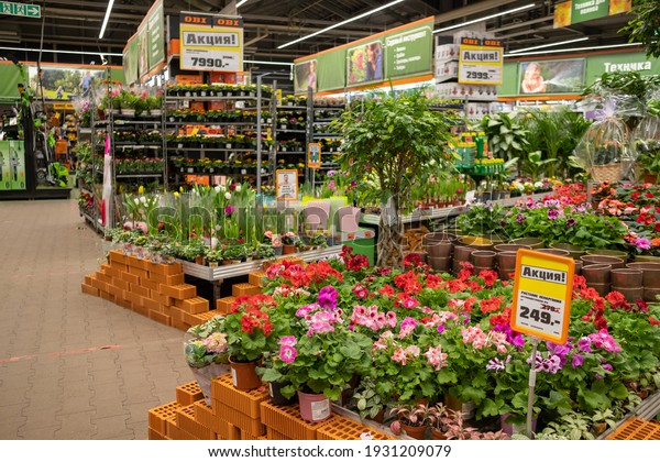 Moscow. Russia. March 4, 2021. Rows of vibrant\
flowers and plants for sale in a garden mall. A wide variety of\
floristic products for country\
houses.