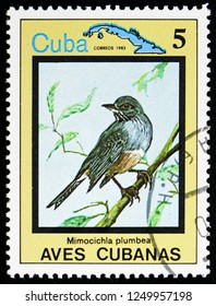 MOSCOW, RUSSIA - NOVEMBER 10, 2018: A stamp printed in Cuba shows Red-legged Thrush (Turdus plumbeus), Endemic birds serie, circa 1983