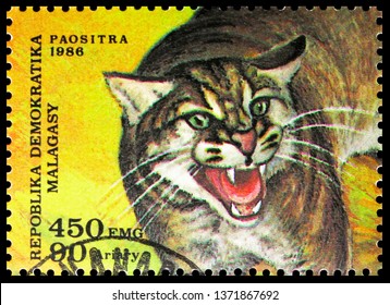 MOSCOW, RUSSIA - NOVEMBER 10, 2018: A Stamp Printed In Madagascar Shows African Golden Cat (Profelis Aurata), Wildcats Serie, Circa 1986