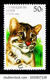 MOSCOW, RUSSIA - NOVEMBER 26, 2017: A Stamp Printed In Benin Shows Asiatic Golden Cat (Pardofelis Temminckii), Big Cats Serie, Circa 1996