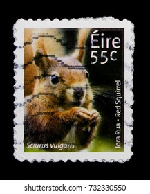 MOSCOW, RUSSIA - OCTOBER 1, 2017: A Stamp Printed In Ireland Shows Red Squirrel (Sciurus Vulgaris), Irish Animals And Marine Life (3rd Series) Serie, Circa 2011