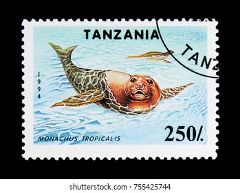 MOSCOW, RUSSIA - OCTOBER 3, 2017: A Stamp Printed In Tanzania Shows Caribbean Monk Seal (Monachus Tropicalis), Endangered Species Serie, Circa 1994