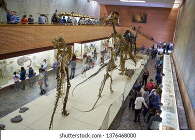 Moscow, Russia, Orlov Yu.A. Paleontological Museum, March 22, 2017, Skeletons Of Several Dinosaurs