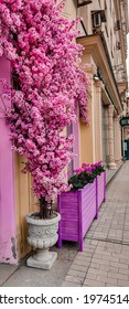 Moscow Street Flower Shop 
 Kutuzovsky Prospekt