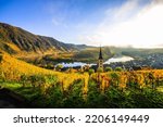 The Moselle loop in autumn, a beautiful river in Germany, makes a 180 degree loop. with vineyards and a great landscape and lighting in the morning, golden autumn