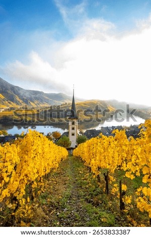 The Moselle loop, a beautiful river in Germany, makes a 180 degree loop. with vineyards and a great landscape and lighting in the morning