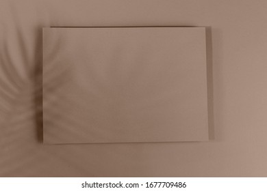 Mosk up. Abstract paper pastel color background. Card on a paper background with shadow of leaves falling on the background. Close-up, horizontal, flat lay, free space. Toning.