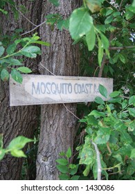 Mosquito Coast On Wards Island, Toronto