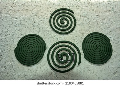 Mosquito Coil Burning To Prevent Bugs From Bothering Campers.Smoking Aromatic Spiral Fighting Mosquitoes And Midges