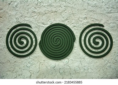 Mosquito Coil Burning To Prevent Bugs From Bothering Campers.Smoking Aromatic Spiral Fighting Mosquitoes And Midges