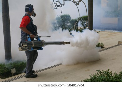Mosquito fogging service
