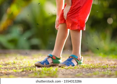 Mosquito On Kids Skin. Little Boy Attacked By Mosquitoes In Tropical Forest. Insect Repellent. Malaria And Dengue Fever Prevention. Child Scratching Itchy Bite In Summer Park.