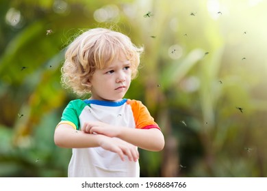 Mosquito On Kids Skin. Little Boy Attacked By Mosquitoes In Tropical Forest. Insect Repellent. Malaria And Dengue Fever Prevention. Child Scratching Itchy Bite In Summer Park.