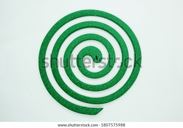 Mosquito repellent coil anti mosquito isolated on\
white background\
closeup