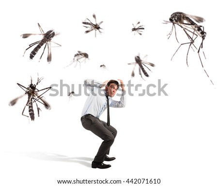 Mosquitoes attack