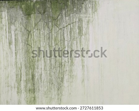 ​Green moss and algae texture on a weathered, cracked white concrete wall. Vintage abstract background of damp exterior wall with water stains and natural erosion.