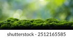 Moss background, green moss on wooden background blurred nature, background for brand display