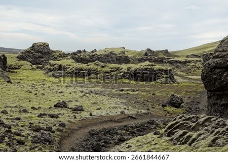 Moss covered lava rocks create a unique and otherworldly landscape in iceland, with a hiking trail winding through the volcanic terrain under a cloudy sky